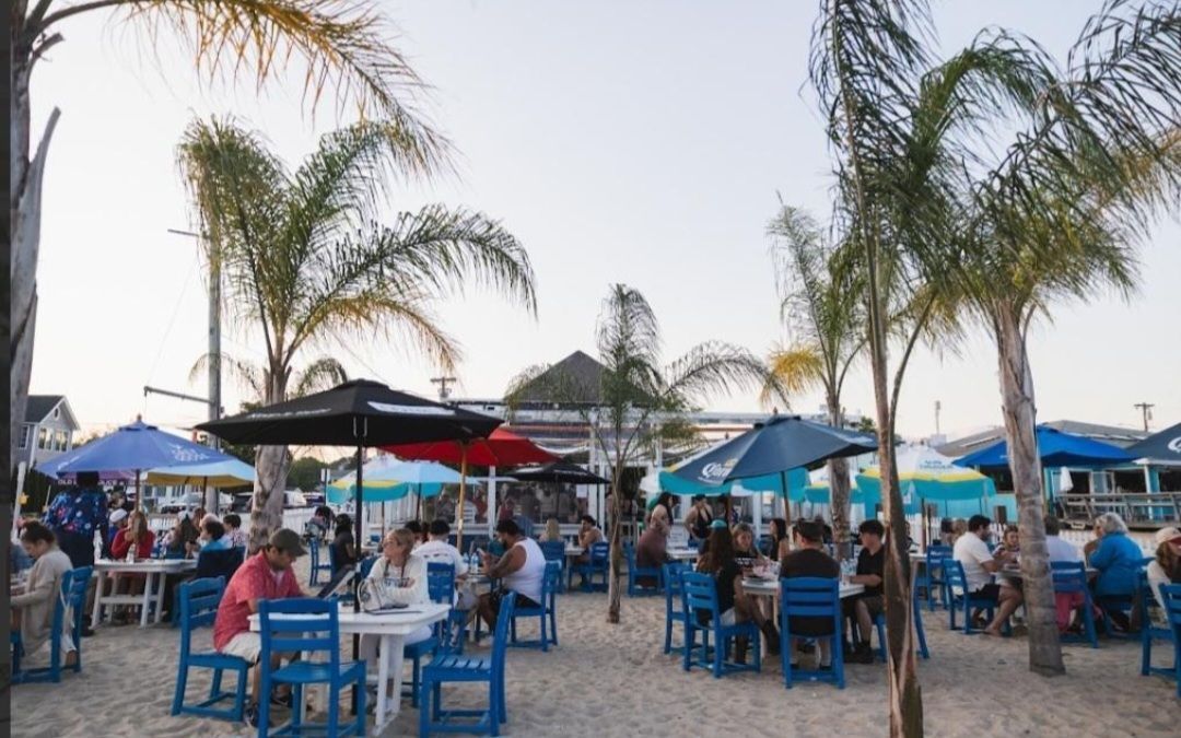 Outdoor seaside café with people seated under colorful umbrellas and palm trees