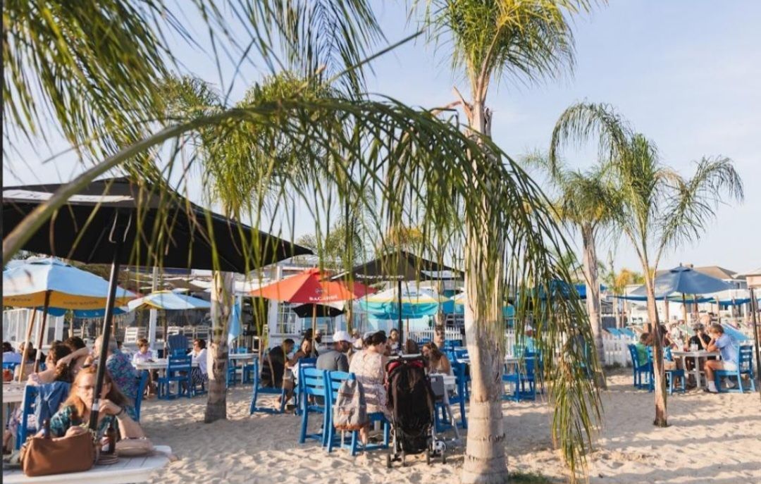 Beach bar with blue chairs, umbrellas, and people relaxing under palm trees.