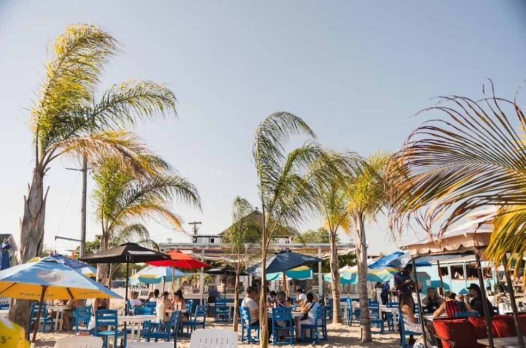 Outdoor beach resort with palm trees, blue umbrellas, and people sitting at tables under a sunny sky