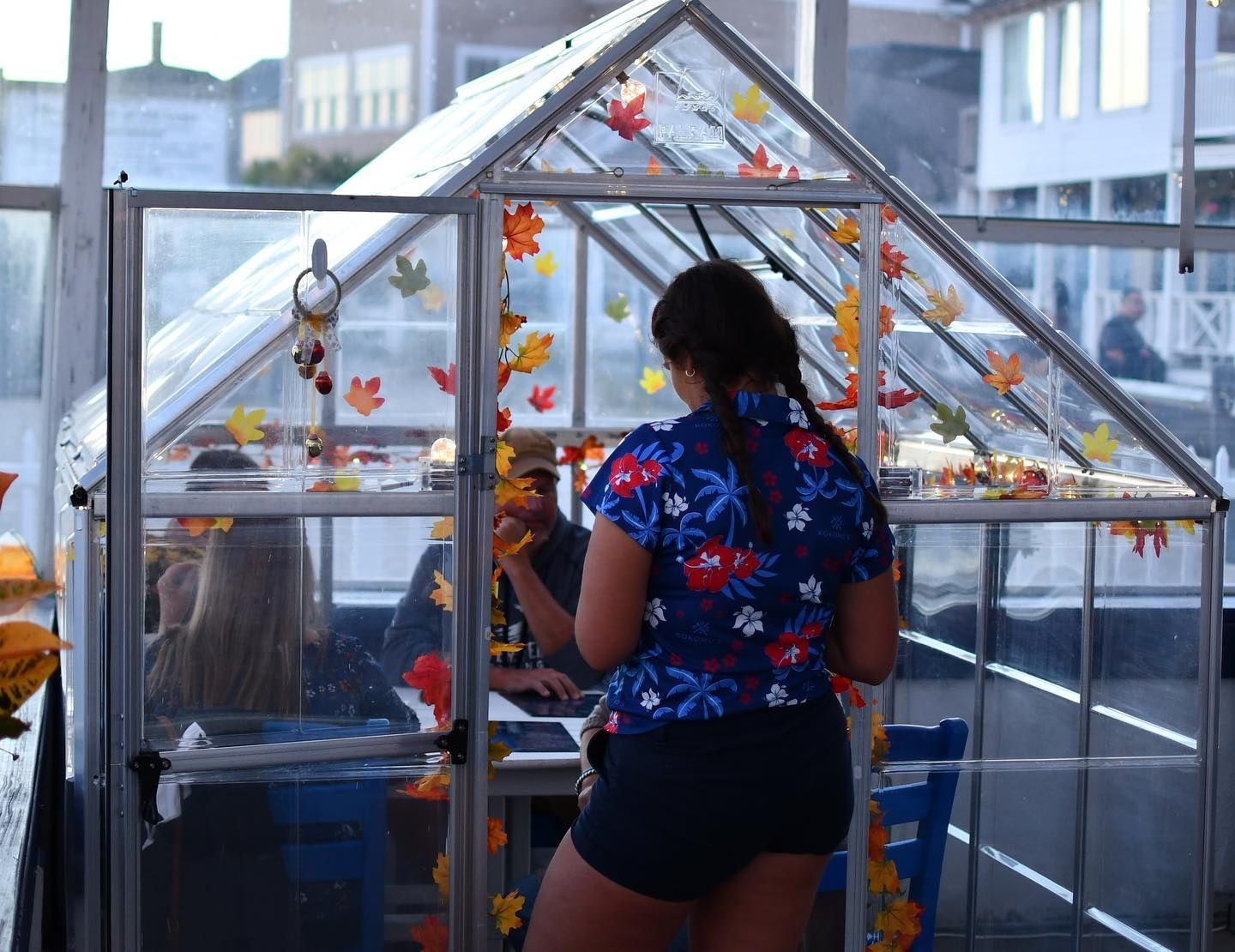 A woman in a blue shirt is standing in a greenhouse.