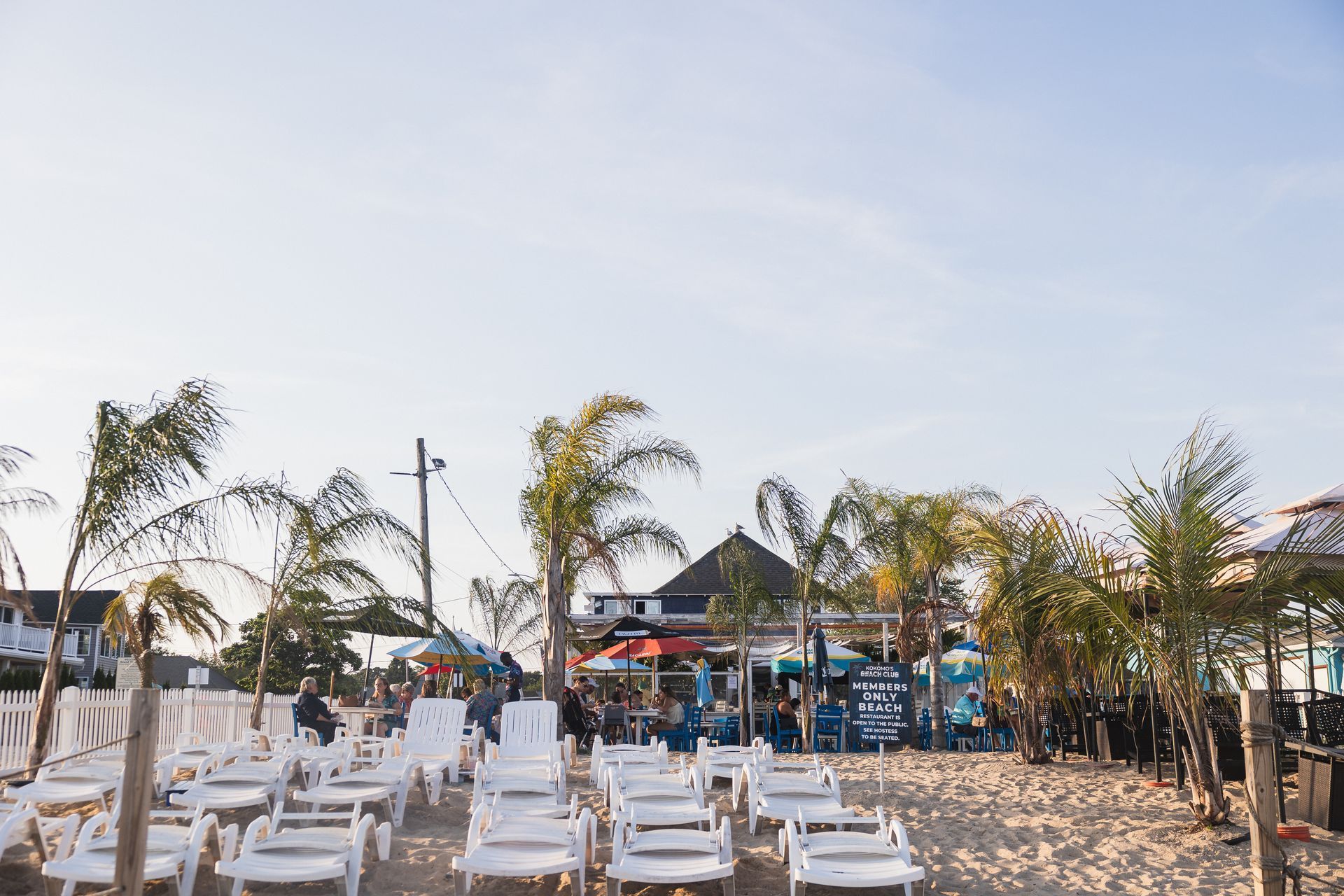 Beach with lounge chairs, palm trees, and a bar, likely for an event. People are seated in the background.