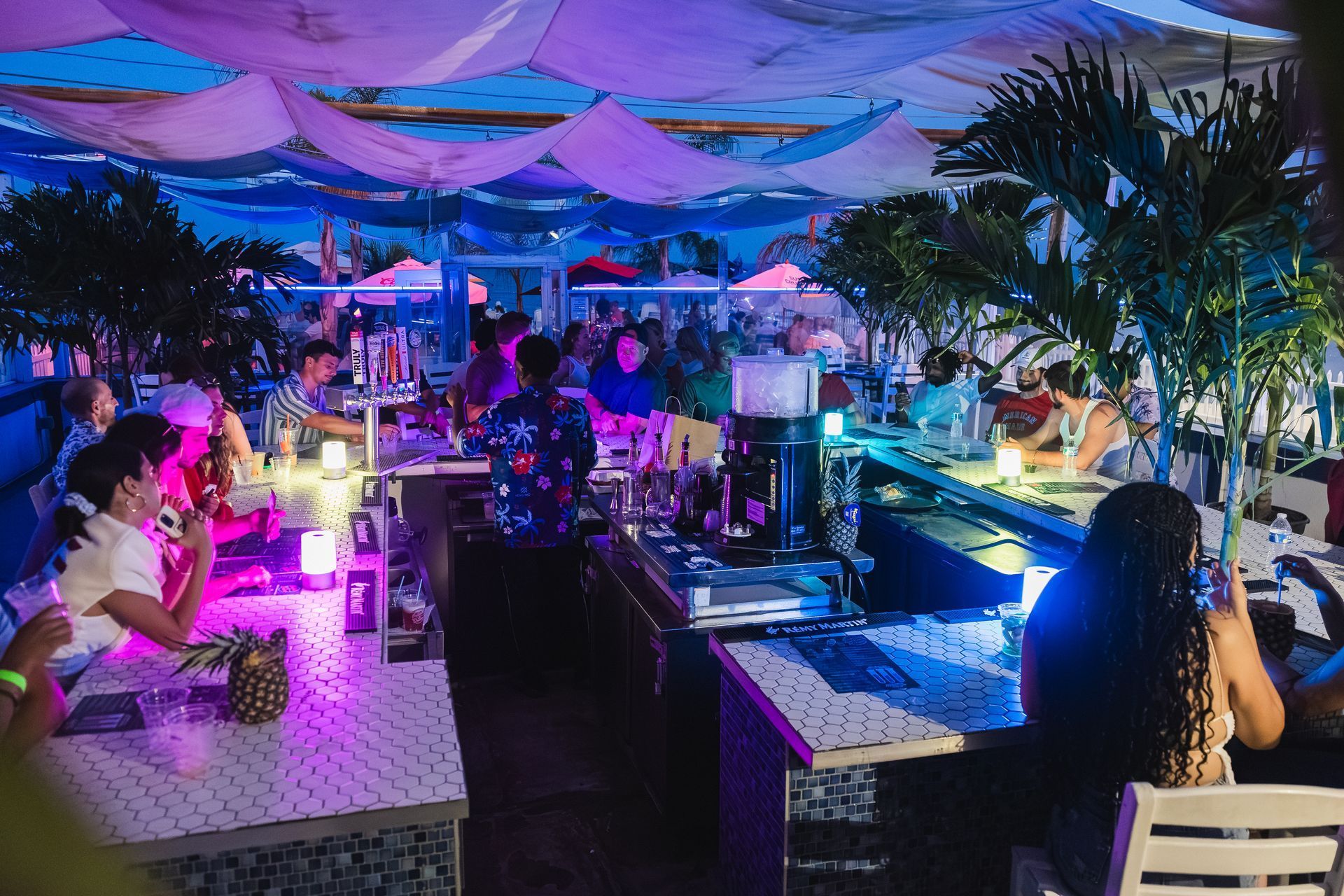 People at a brightly lit outdoor bar, purple and blue lighting, palm trees, nighttime.