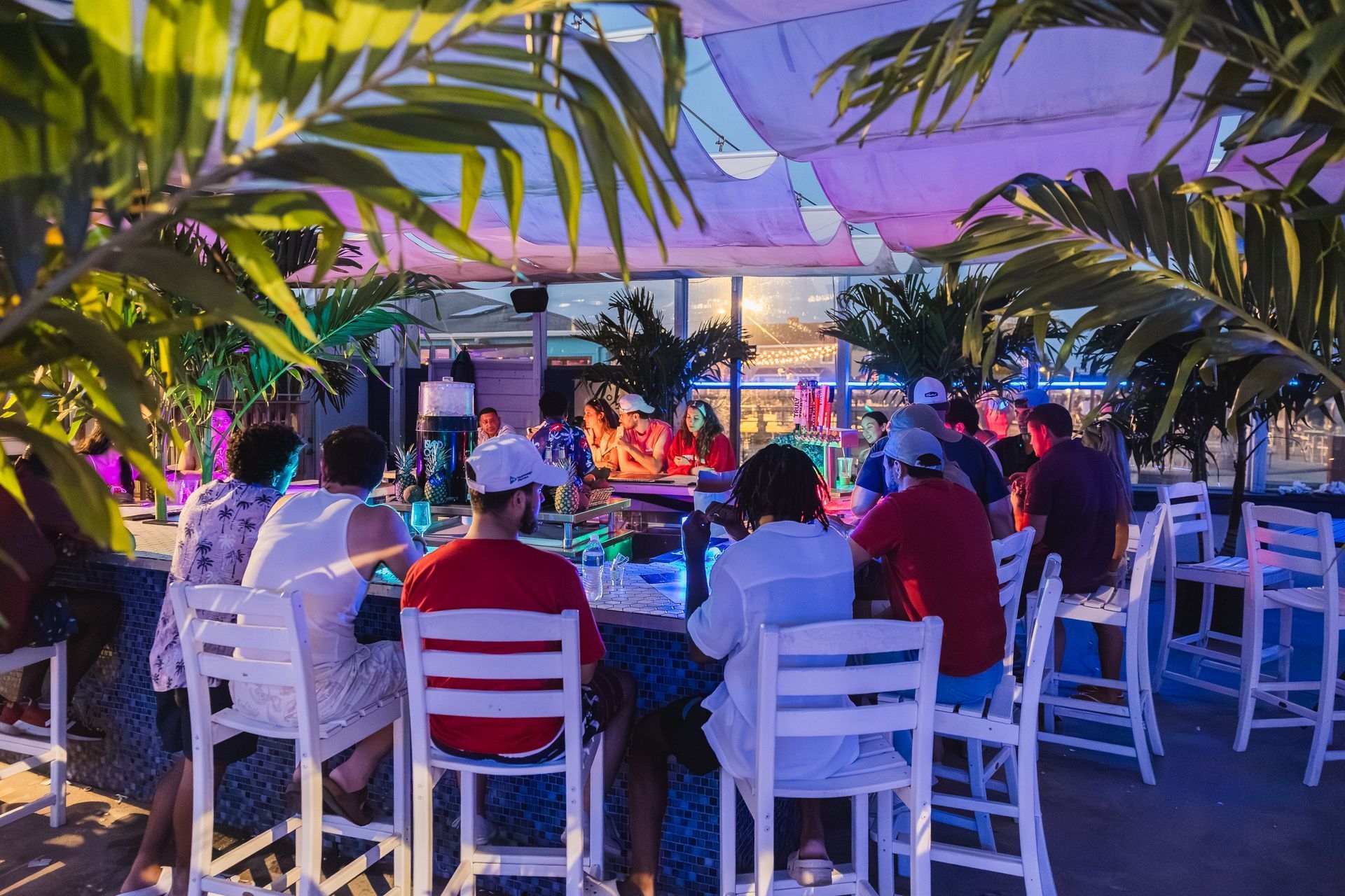 People at an outdoor bar with white chairs, palm trees, and colorful lighting.