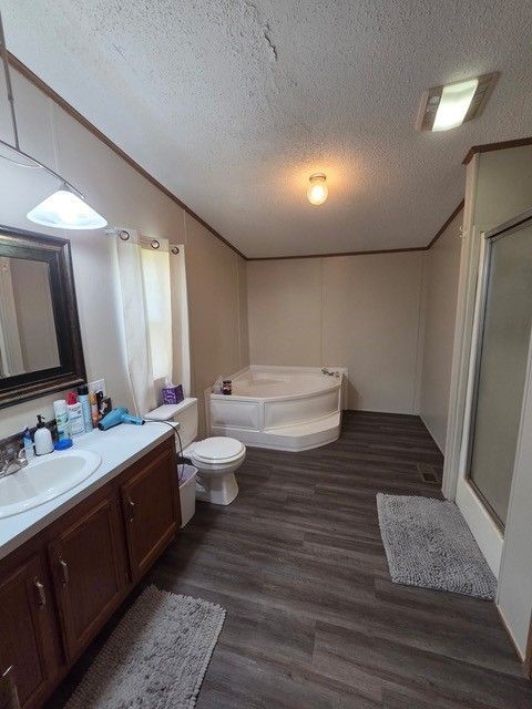 Bathroom with a jacuzzi tub, vanity with sink, and shower stall. Dark wood-look floor, neutral walls.