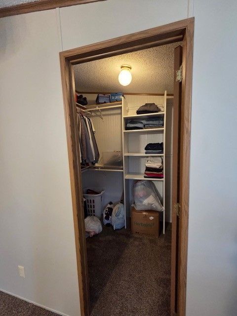 Walk-in closet interior: clothes on rods and shelves, with a light and a brown carpet.