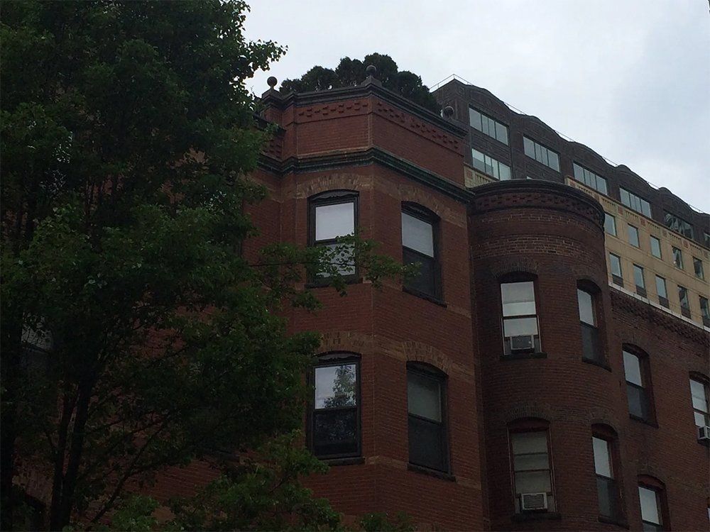 Building with structural brick wall