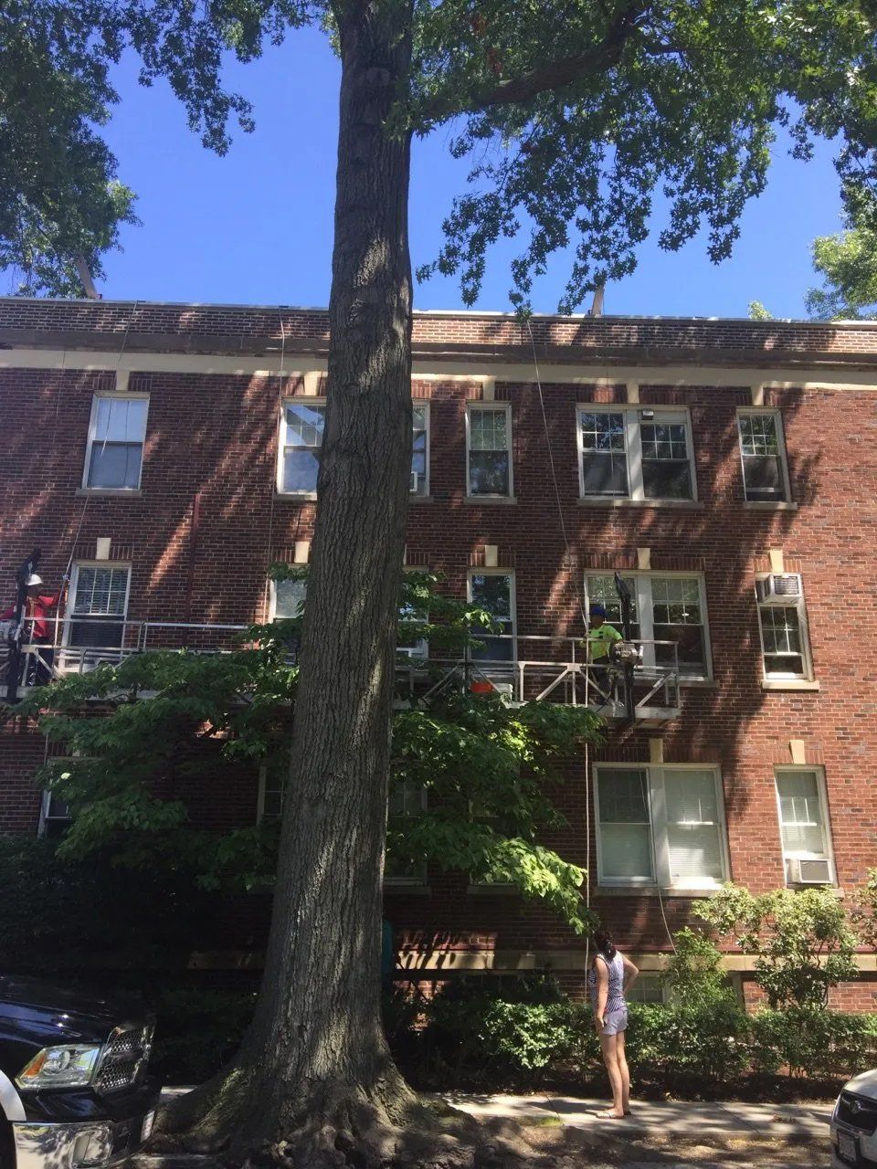 100% cut out and re-pointing work, and replacement of lentils and sills