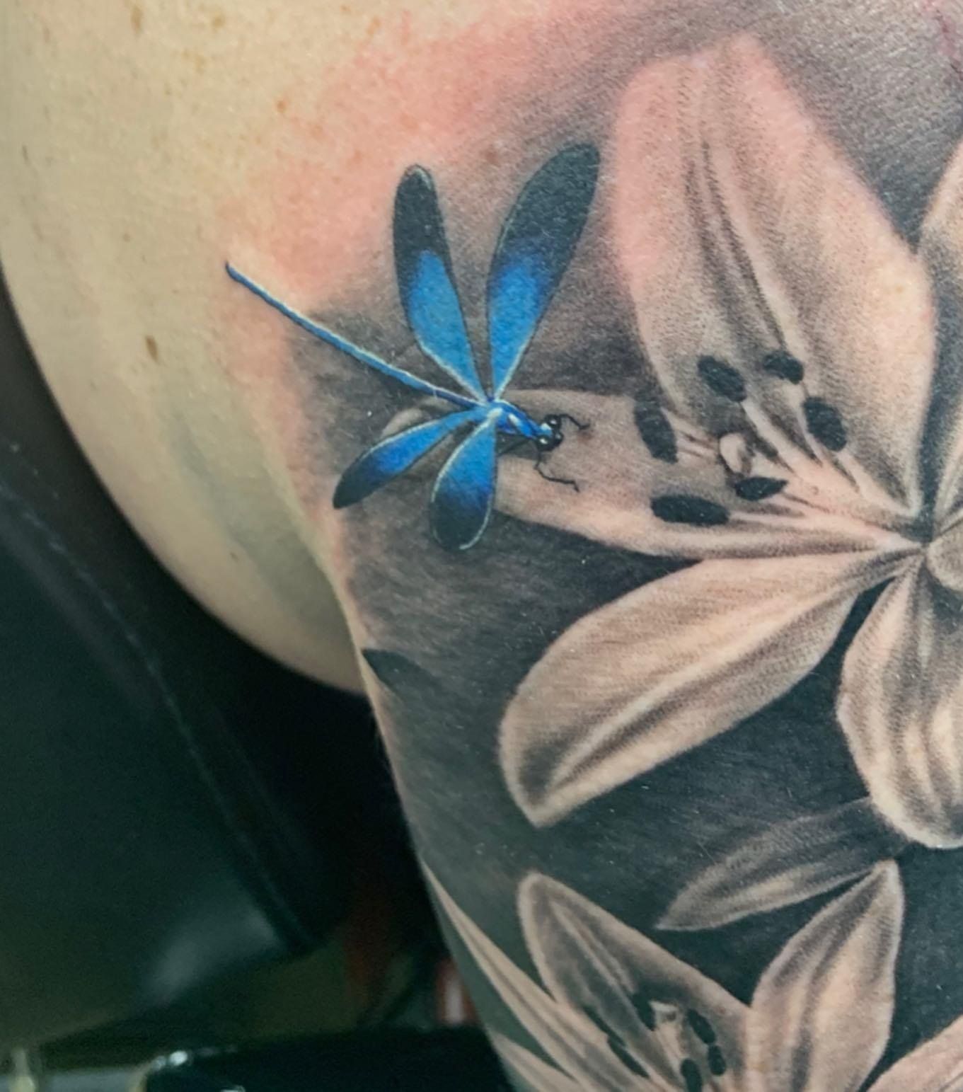 A person has a dragonfly tattoo on their arm