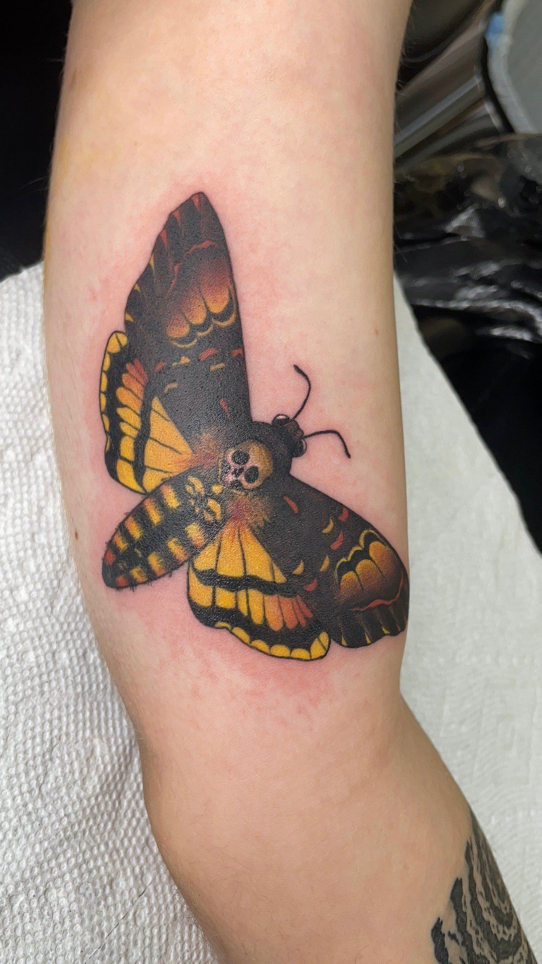 A person has a tattoo of a moth on their elbow.
