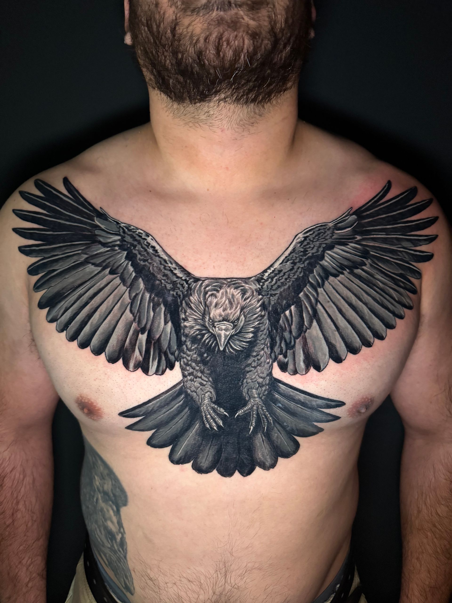 Torso with large black owl tattoo across the chest and shoulders