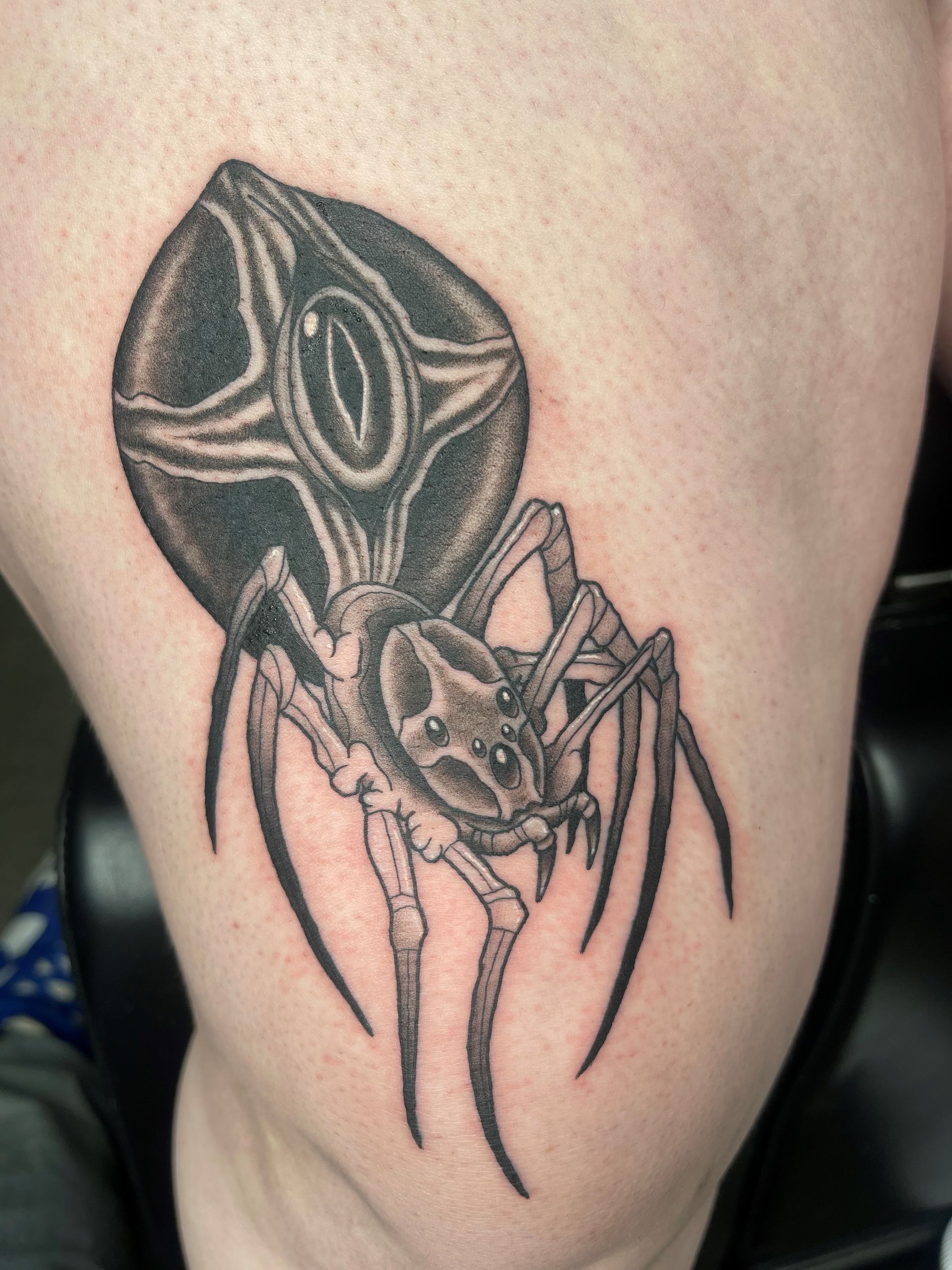A black and white tattoo of a spider on a person 's leg