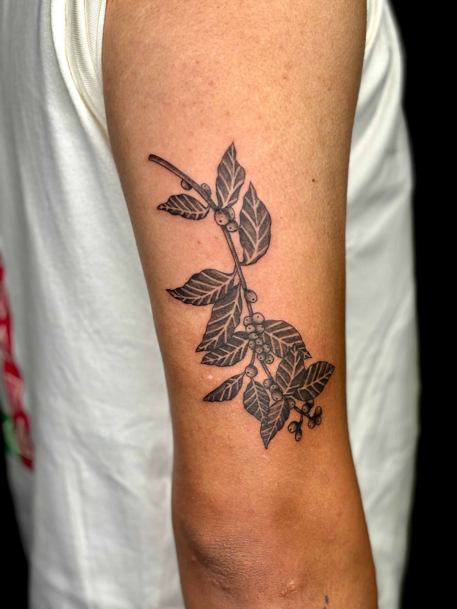 A person has a tattoo of a plant on their arm