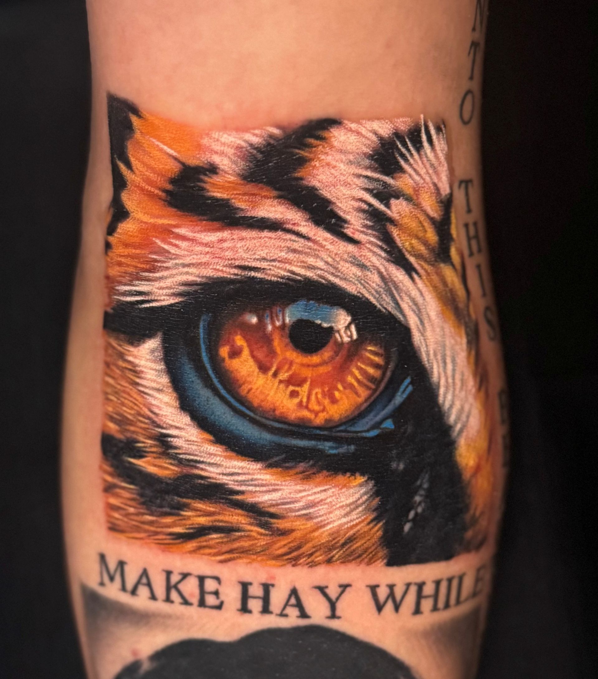 Tiger eye tattoo