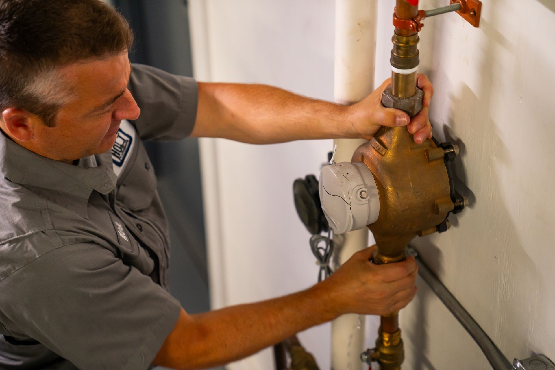 backflow prevention process