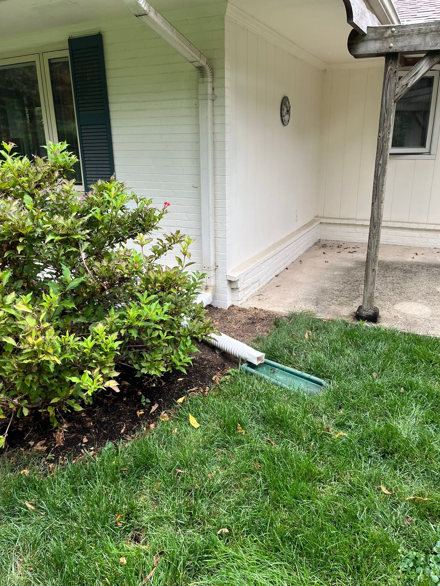 Front yard beside a white house, with grass, shrubs, and a small tree near the walkway.