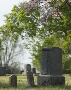 Headstone cleaning service