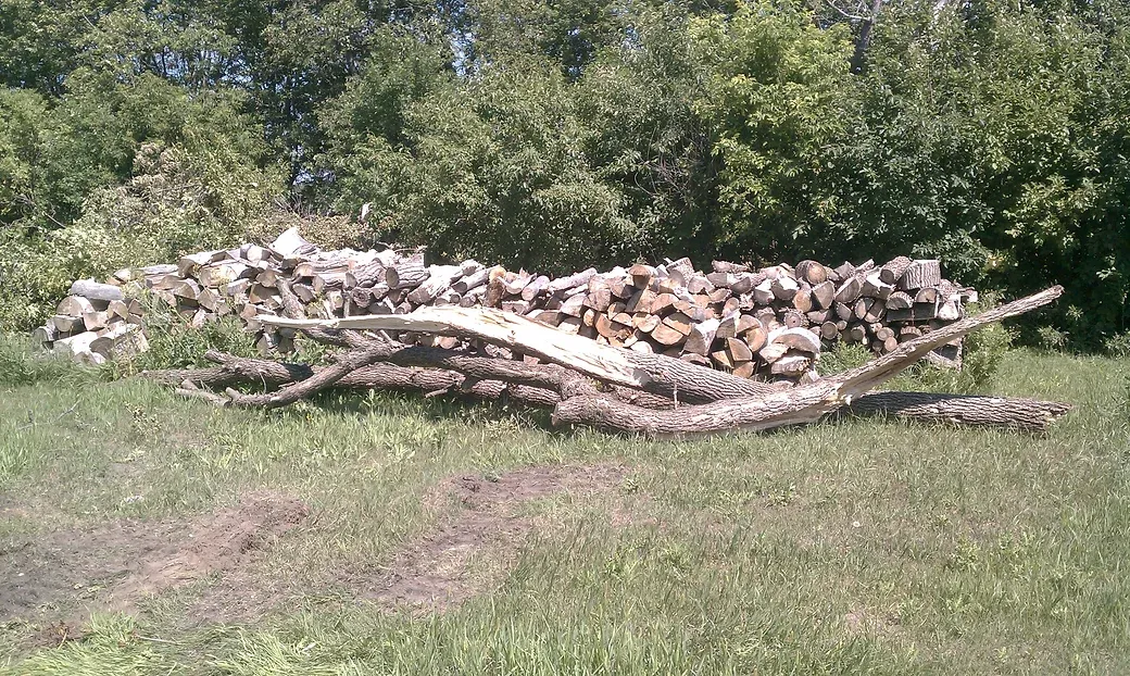 Firewood