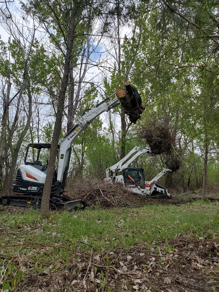Tree Service