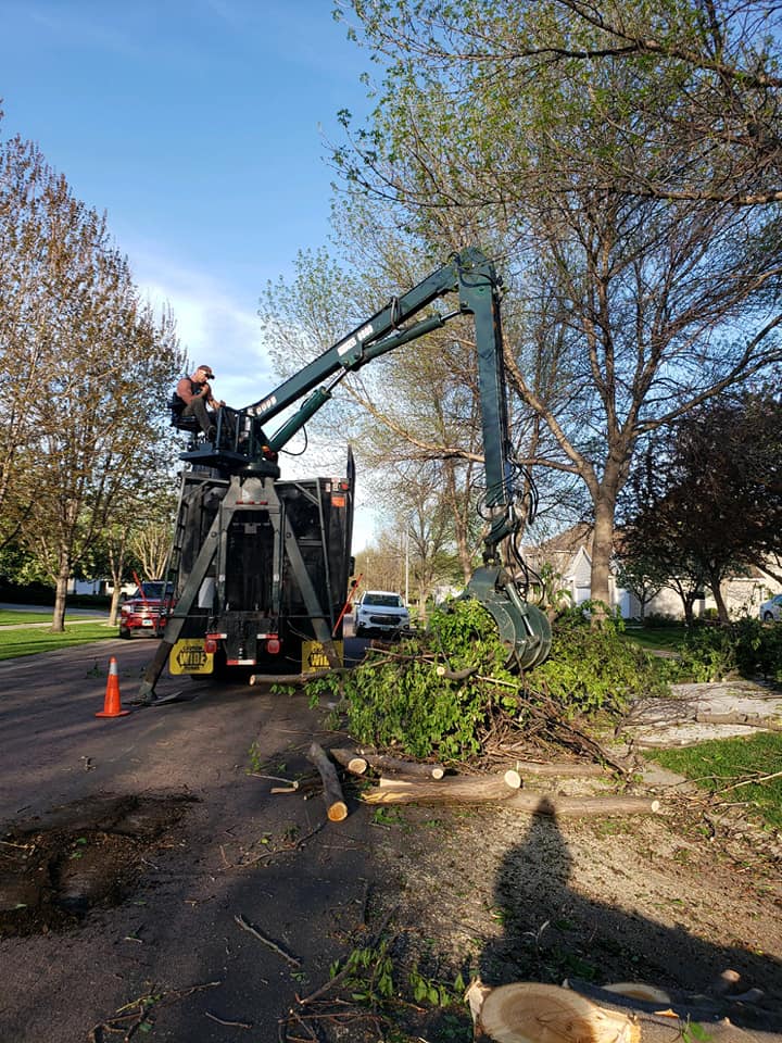 Tree Service