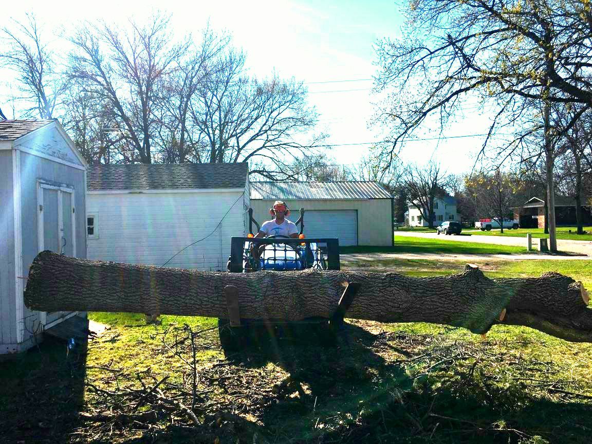 Tree Service