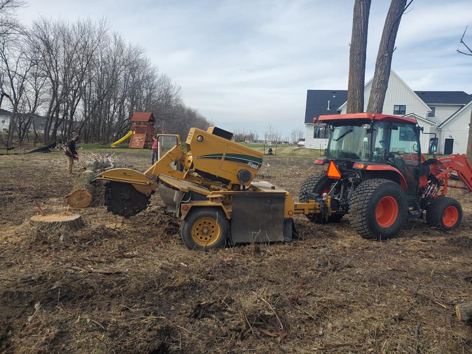 Stump Grinding