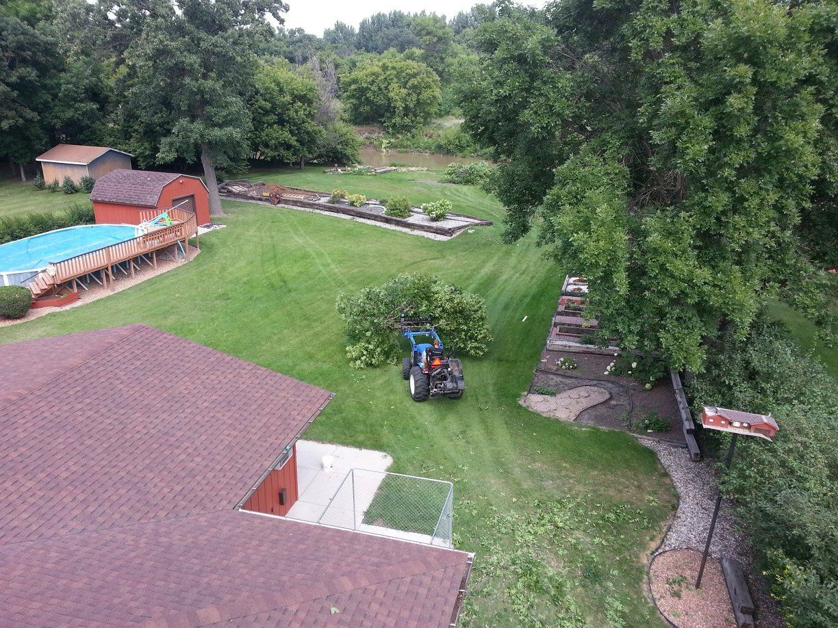 Tyler's Tree Service work site