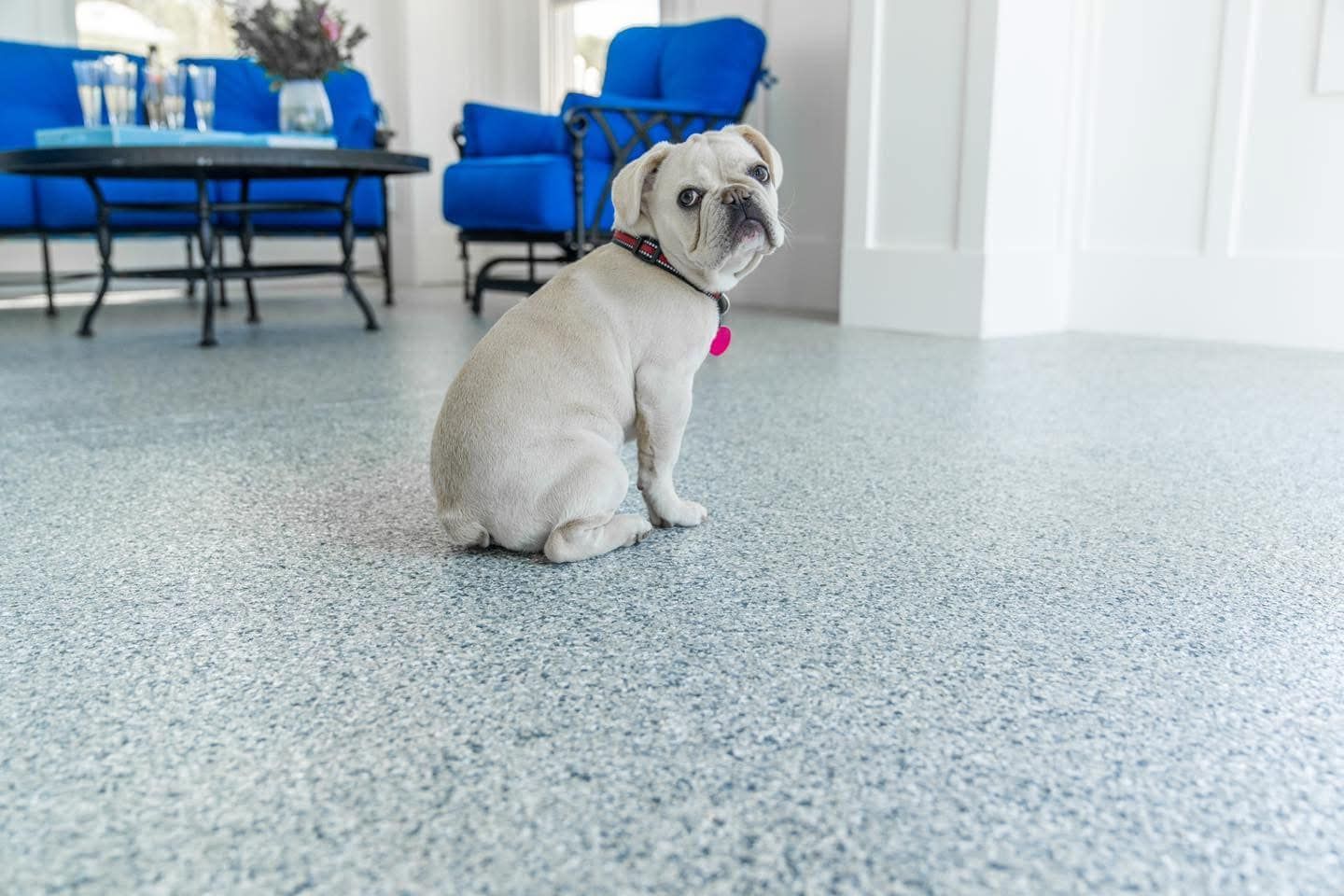 A pug dog is sitting on the floor in a living room