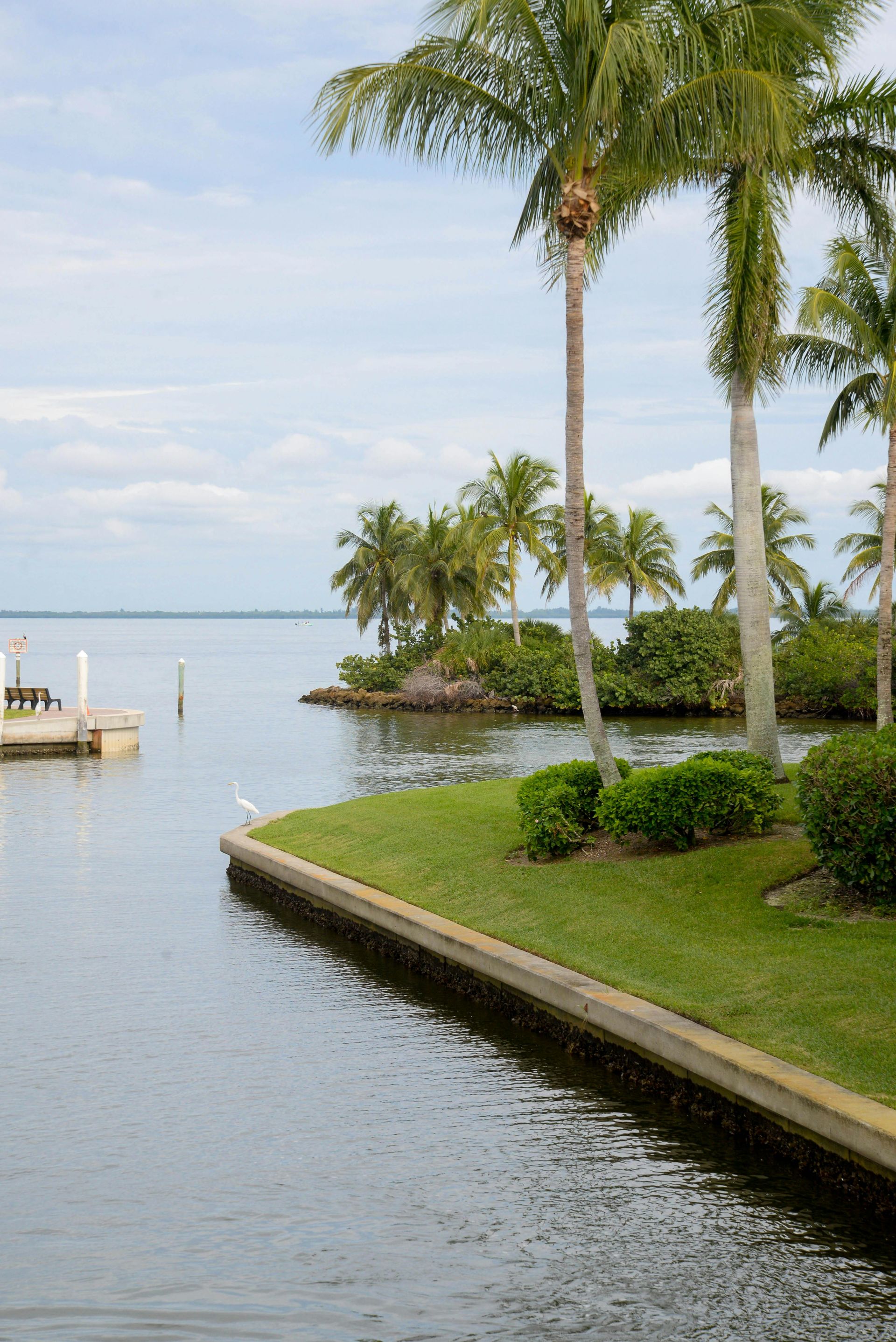 A grassy canal bank with palm trees leads to an open bay under a bright, partly cloudy sky.