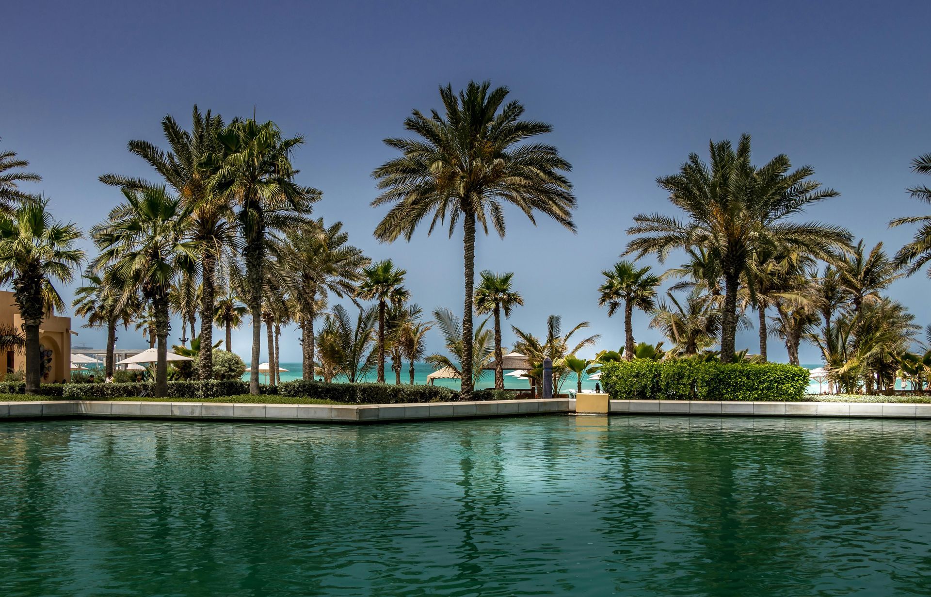A turquoise swimming pool in the foreground with palm trees and a bright blue sky in the background.