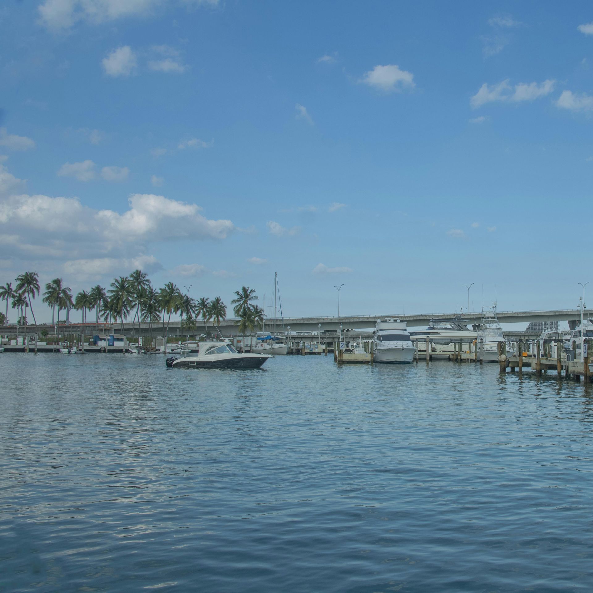 Boats docked at a marina under a bright, sunny sky with a highway overpass in the background.