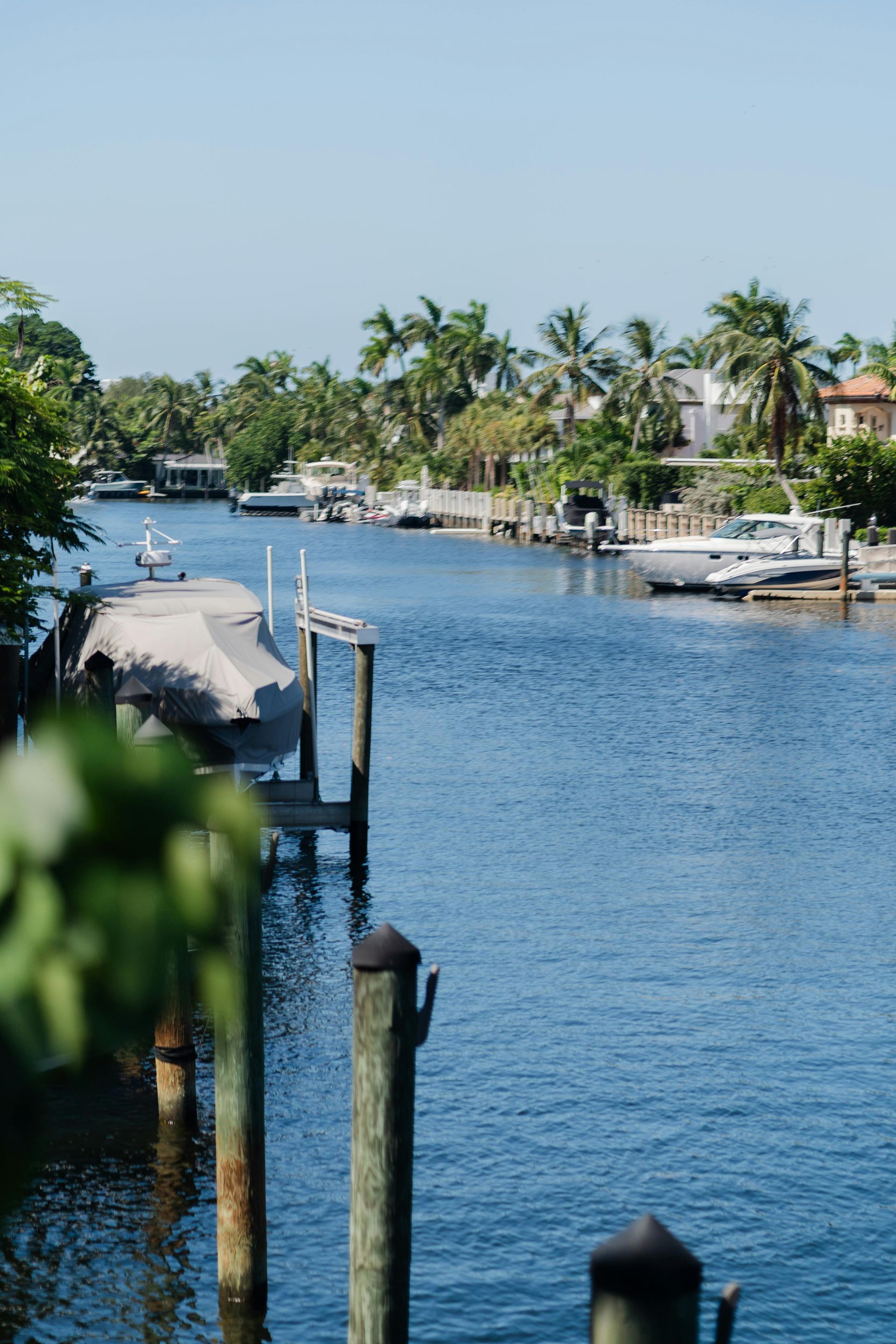 Boats docked along a sunny canal lined with palm trees and houses in a residential neighborhood.