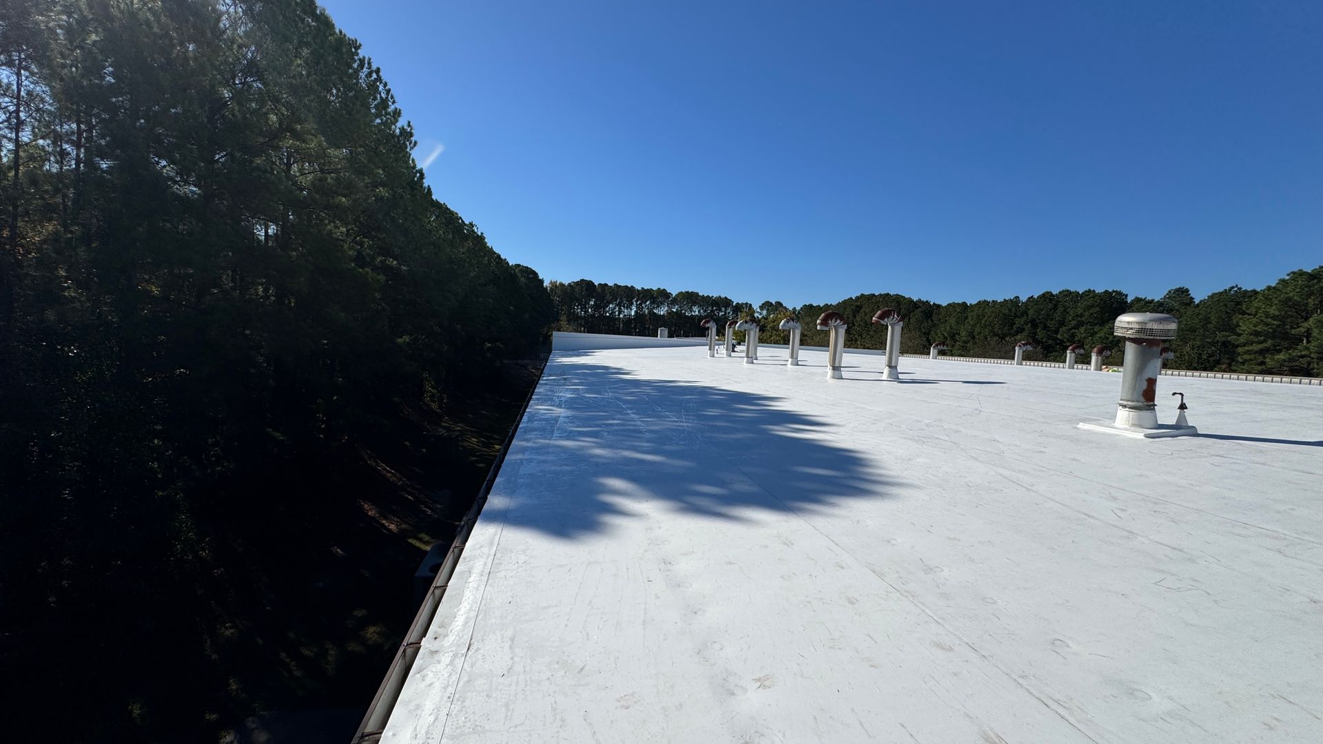 White commercial roof with vent pipes.