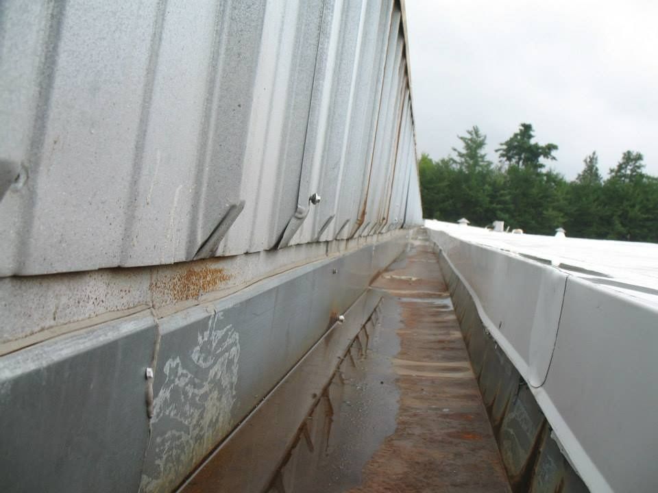 Metal roof edge with gutter. The gutter is dirty and partially filled with water. Green trees in background.