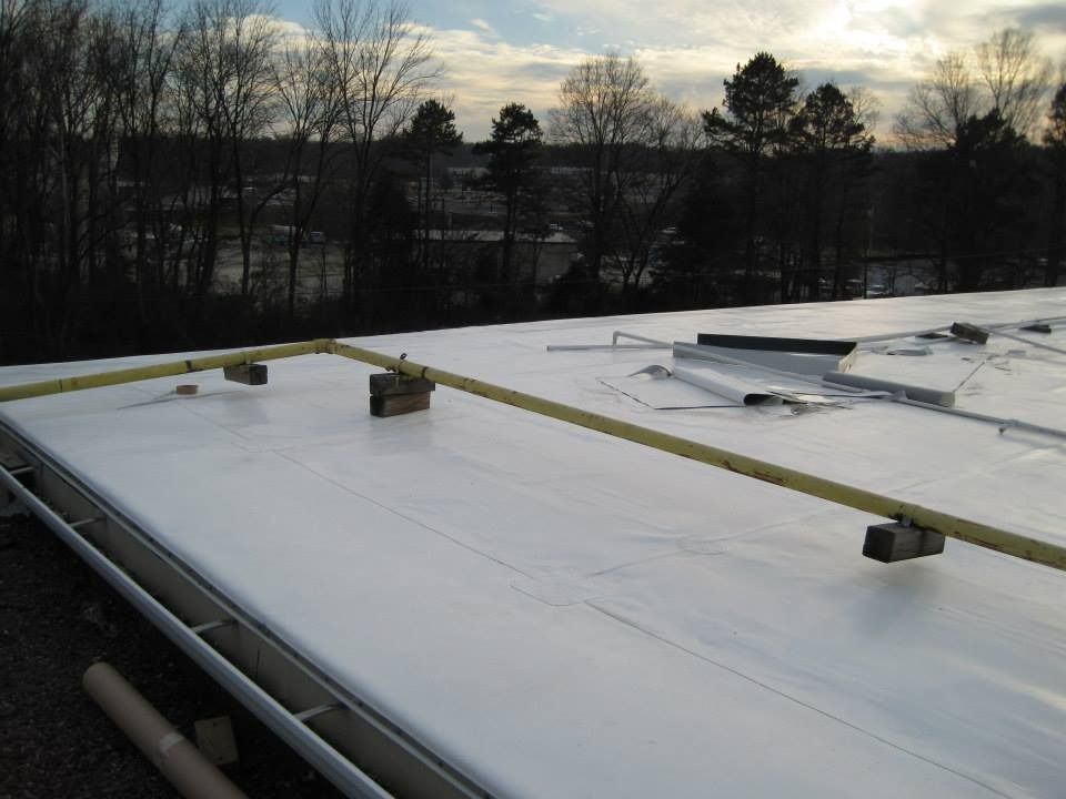 Flat white roof with wooden beams, dark background of trees and sky.