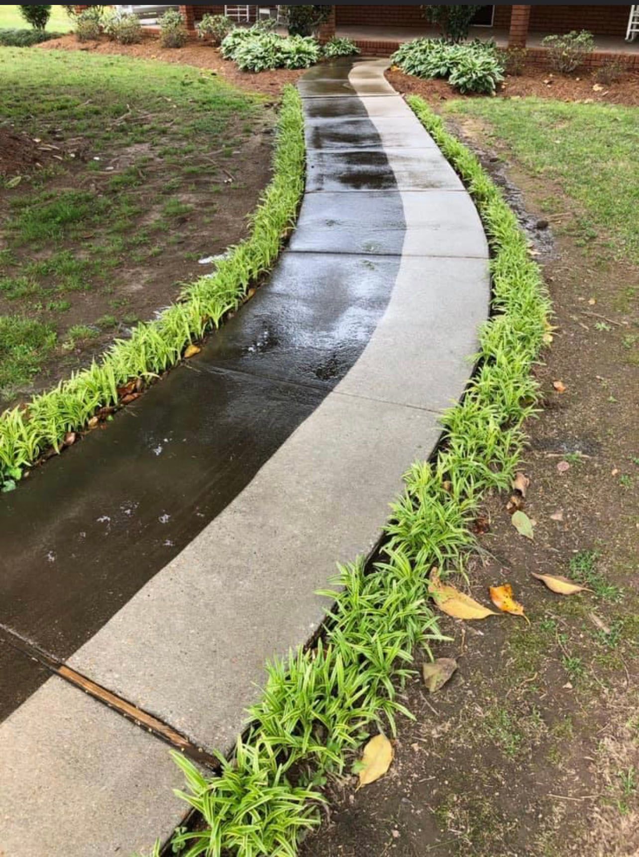 A wet, curved concrete path lined with green plants, leading toward a building.
