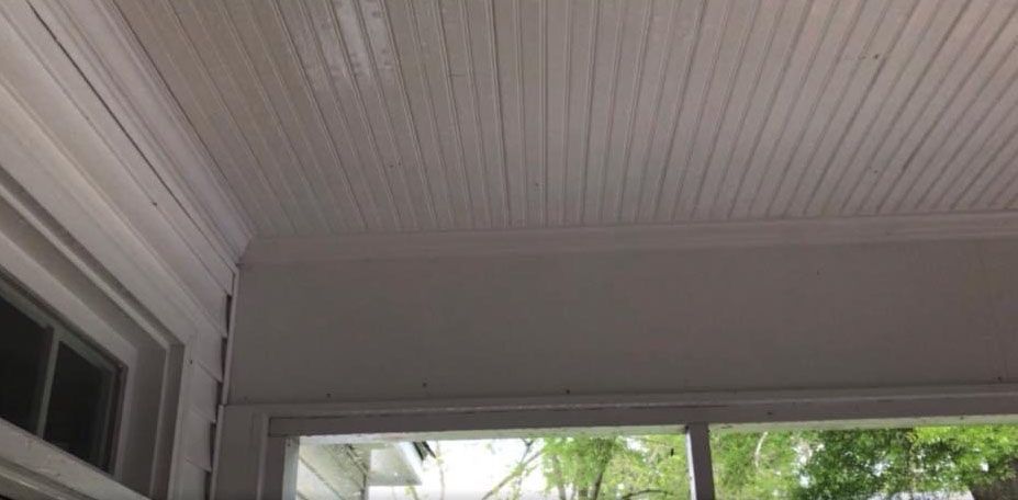 White ceiling with wood planks, window view with green trees.