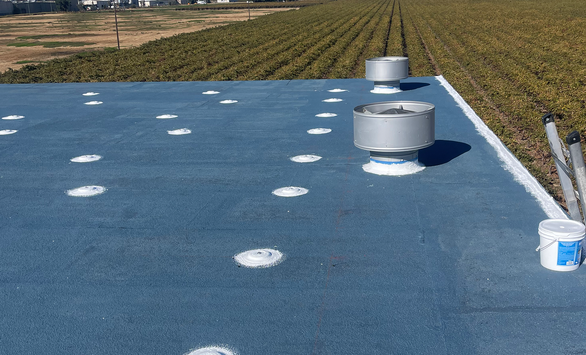 Blue rooftop with white circular markers and several silver vents beside a field.