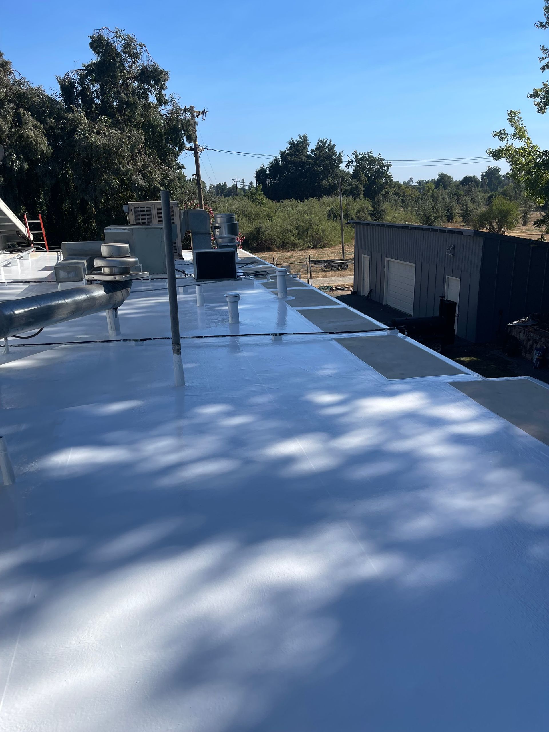 White rooftop with vents and equipment beside trees under a clear blue sky