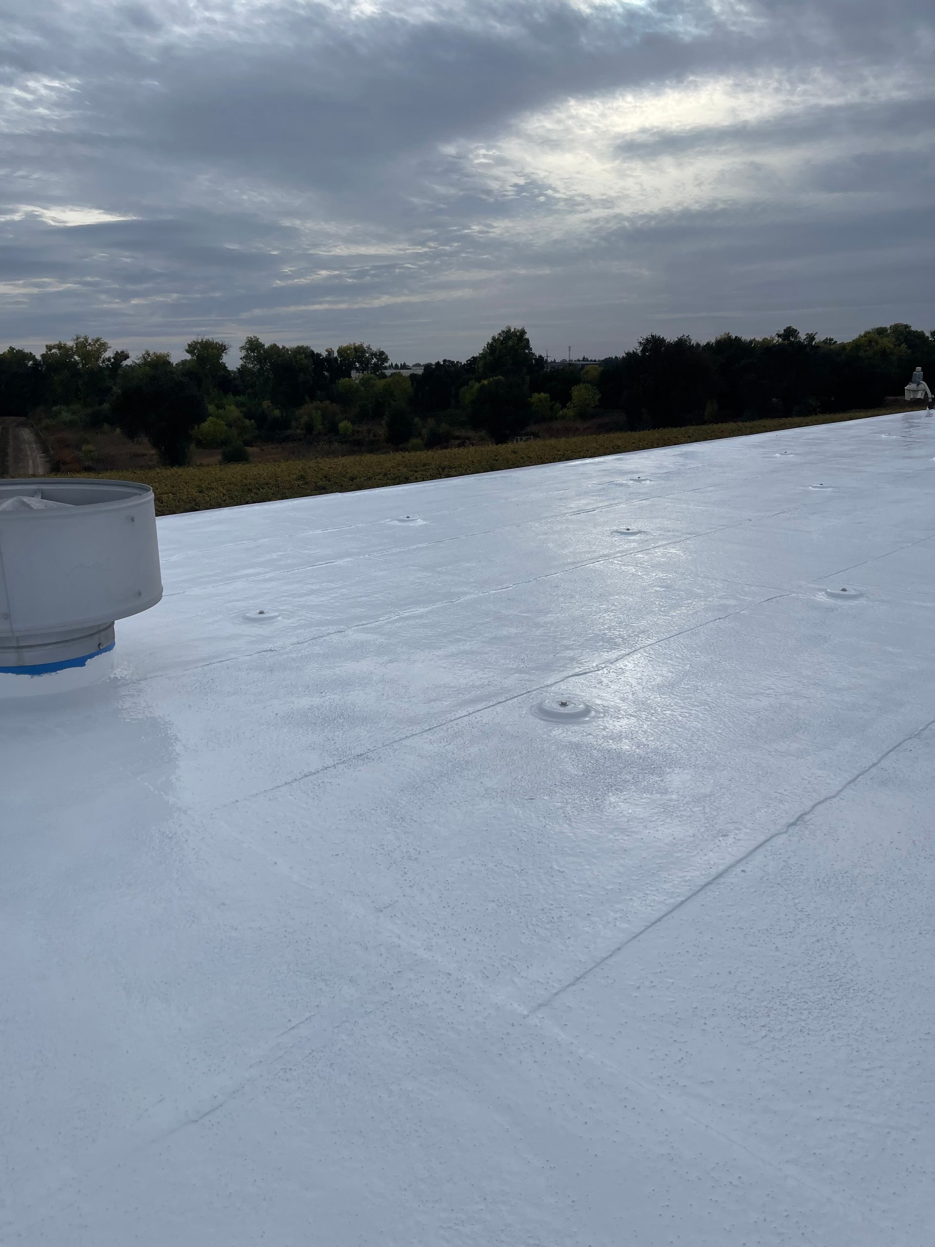 White flat rooftop under a cloudy sky with trees along the horizon