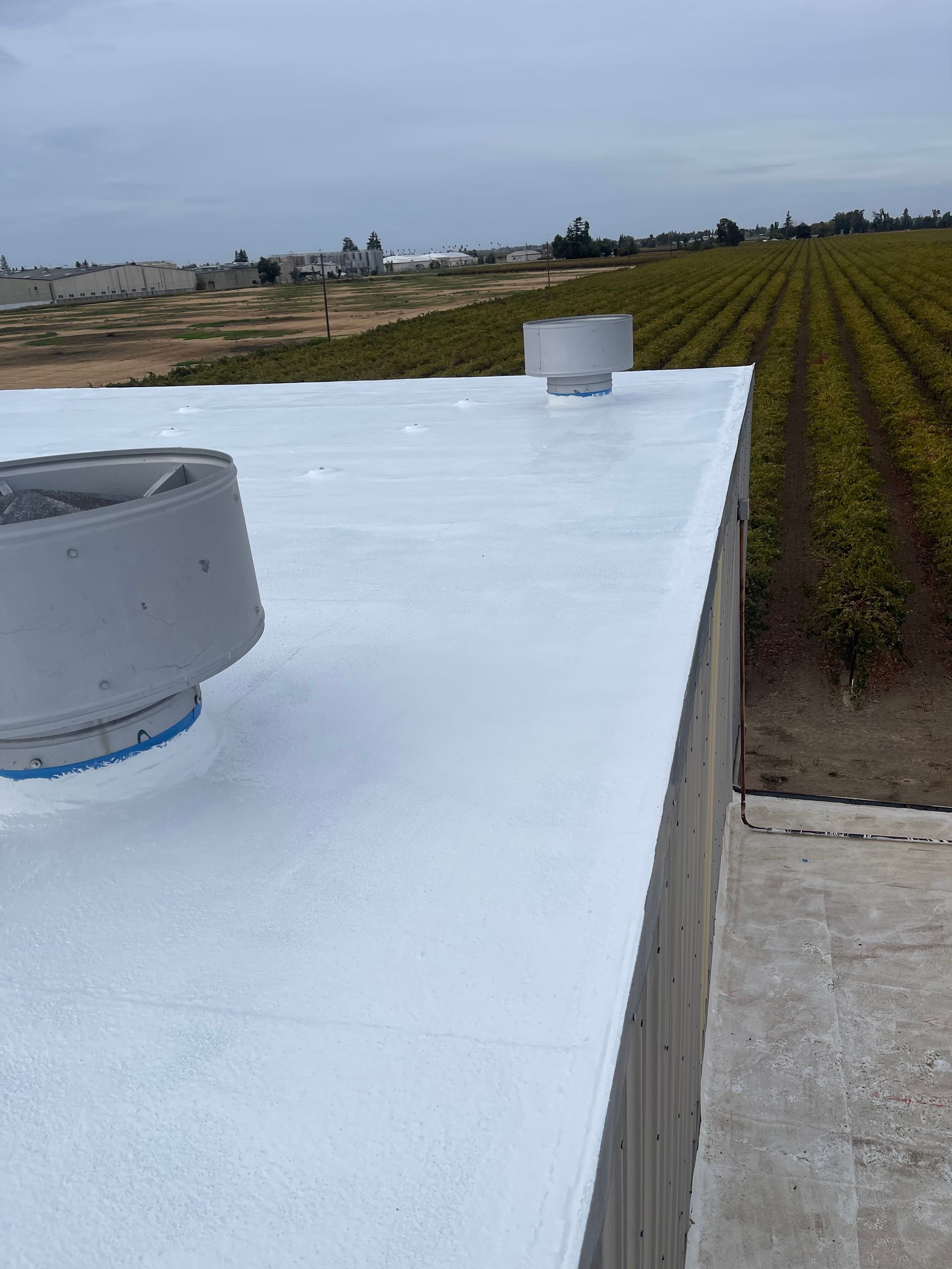 White rooftop with two gray vents beside green farmland under an overcast sky