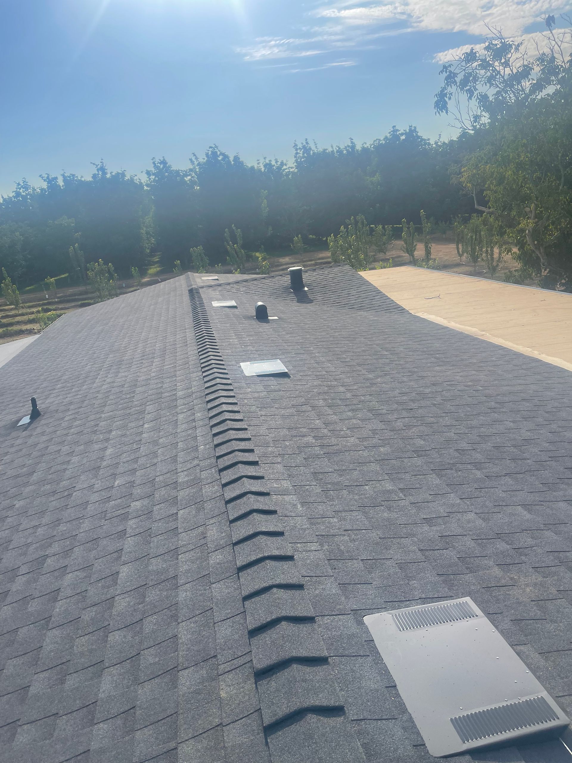 Roof with gray shingles and vents under a bright blue sky with trees in the background