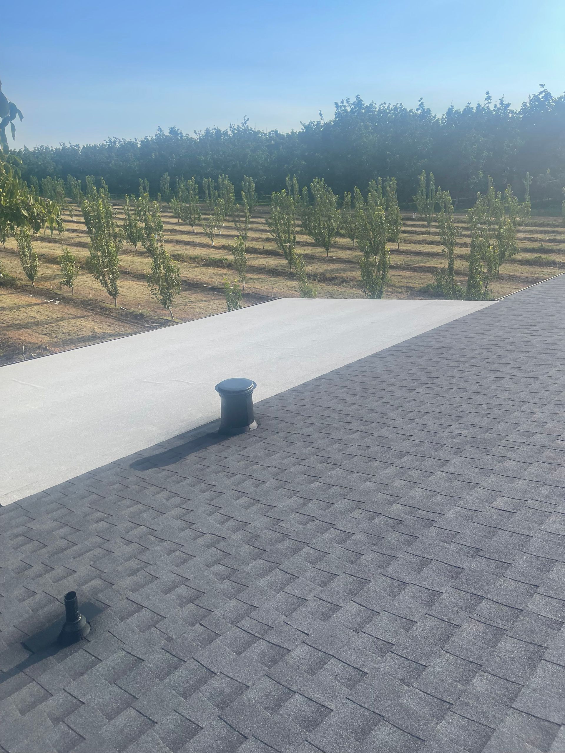 Roof shingles overlooking a vineyard under a clear blue sky