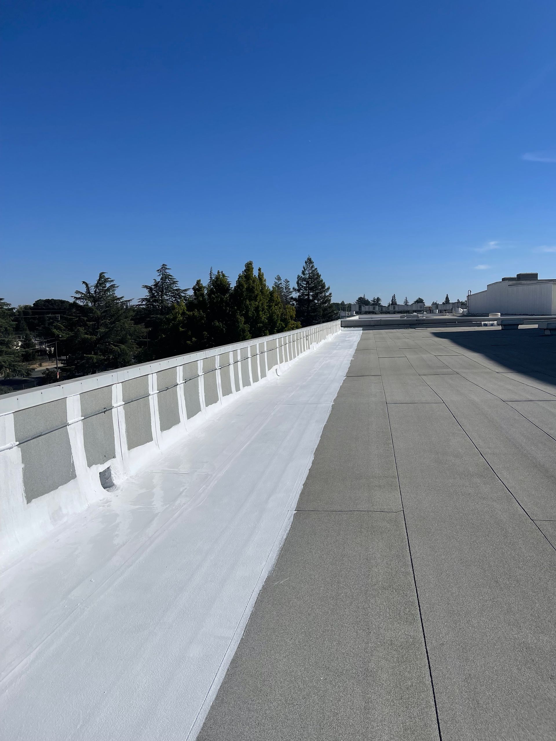 White rooftop walkway with railing under a clear blue sky, viewed toward distant buildings and trees