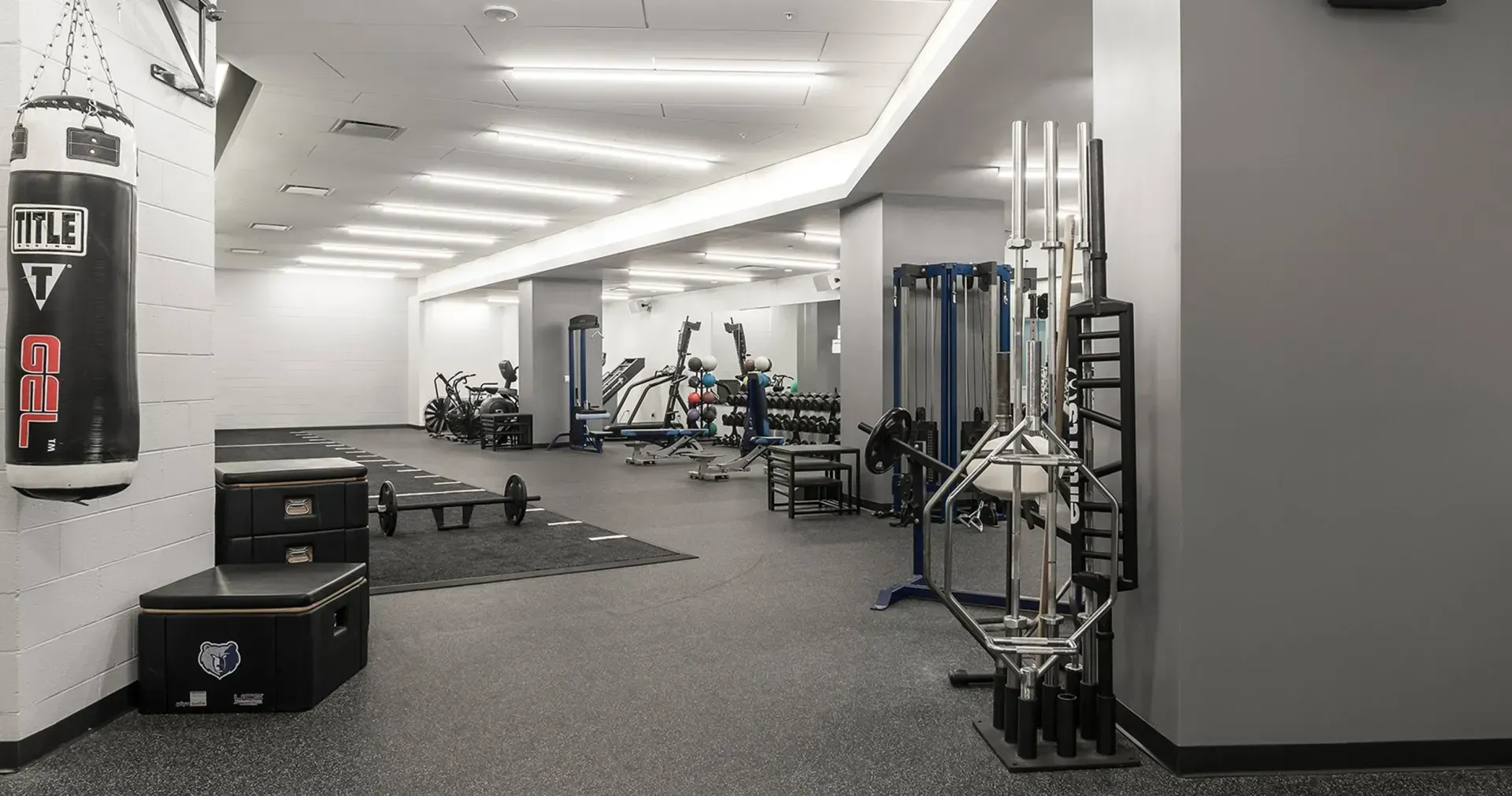 Gym interior with exercise equipment, including punching bag, weights, and machines; gray and white color scheme.