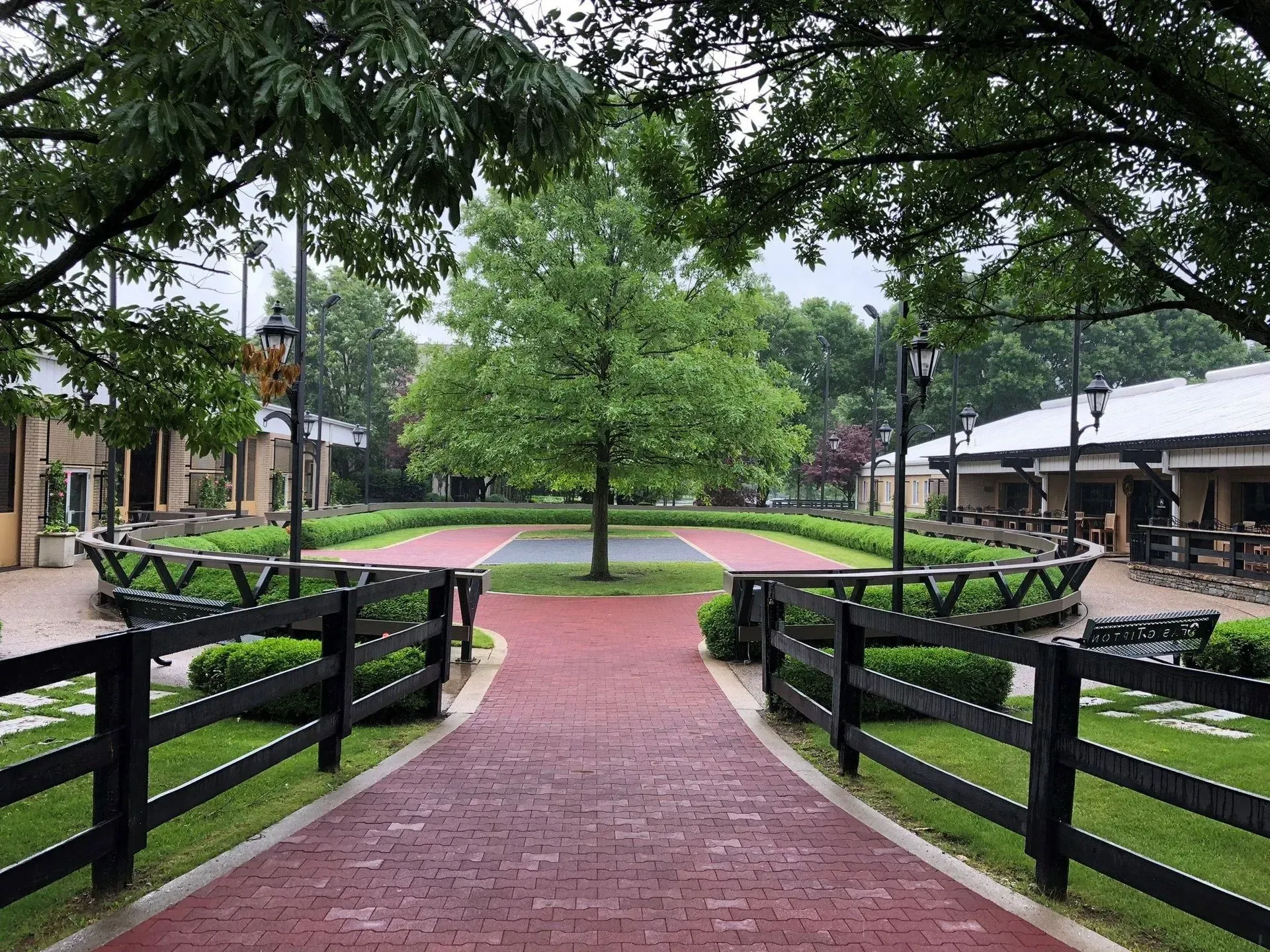 Brick pathway leading to a tree in a courtyard lined with low fences and buildings on either side.