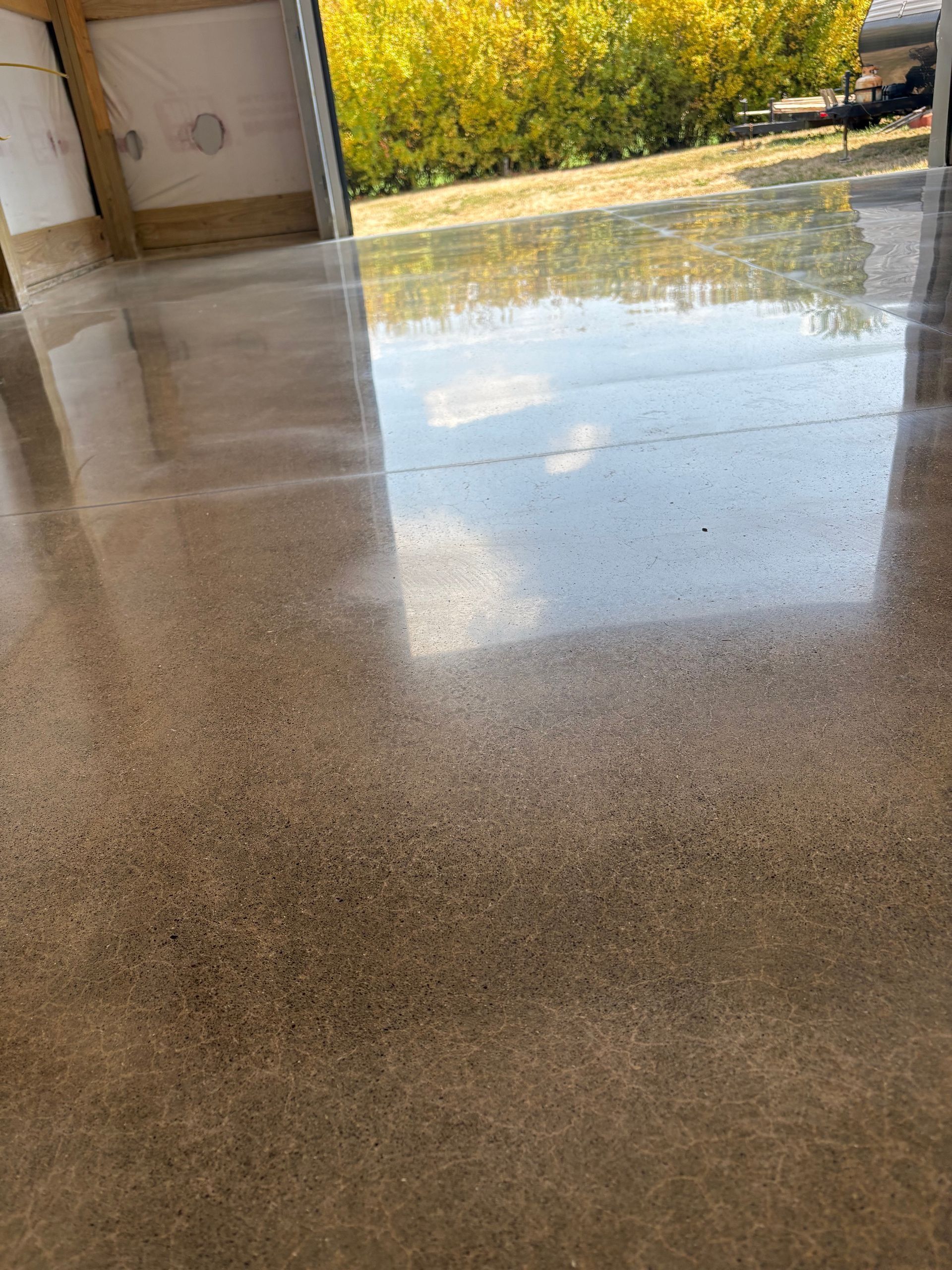 Polished concrete floor reflecting a bright outdoor scene with yellow foliage.