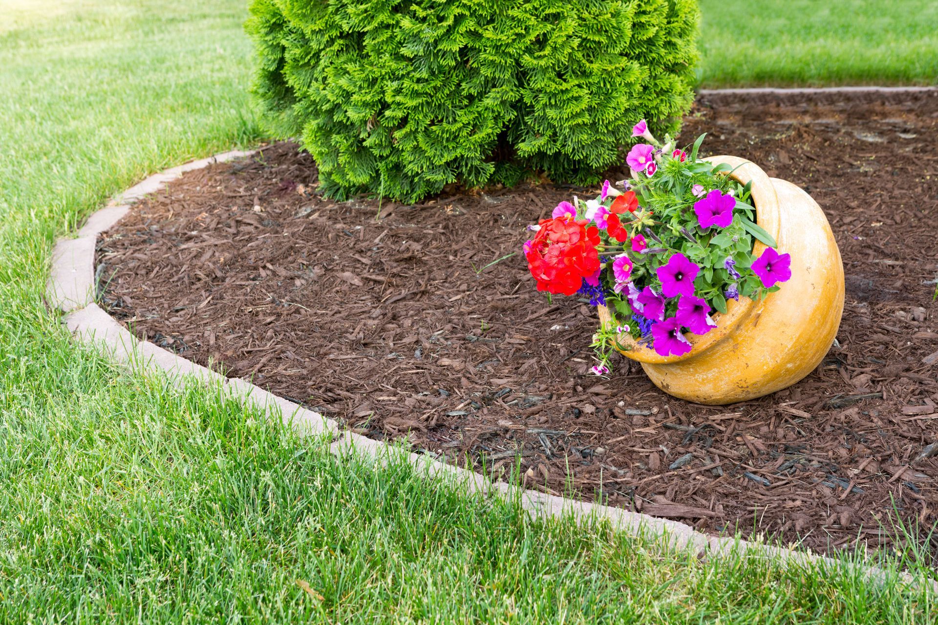 Flower-filled tipped pot in a mulched garden bed beside a green lawn