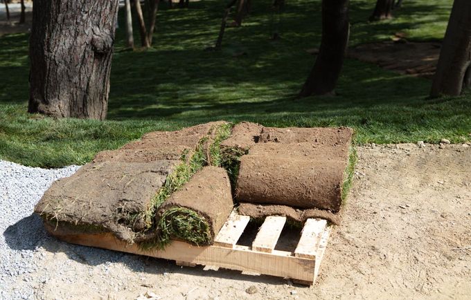 Folded lawn turf on a pallet beside a gravel path in a park-like grassy area.
