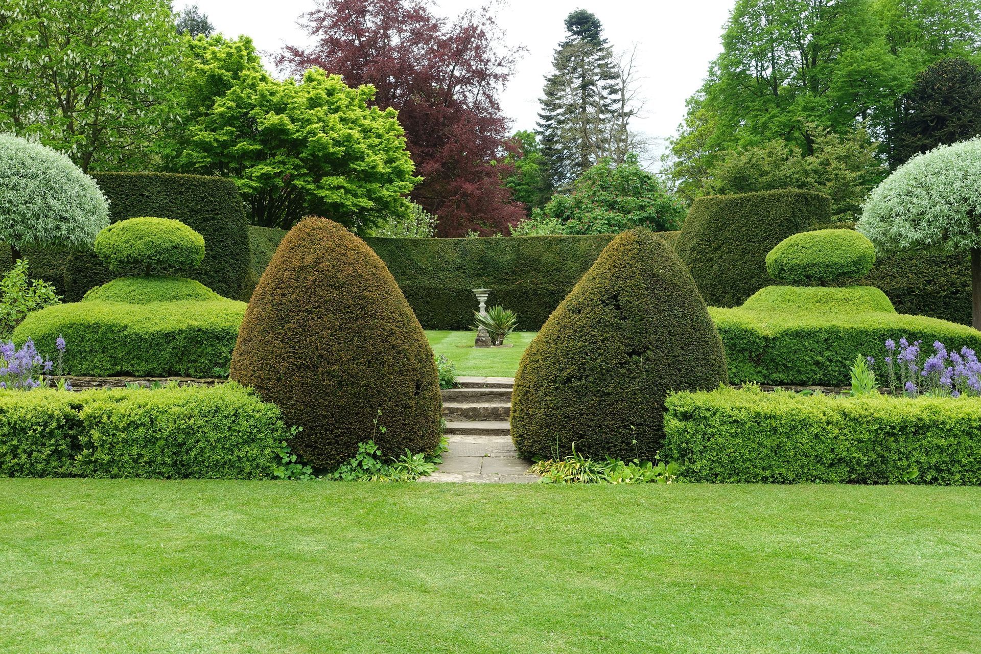 Manicured garden with sculpted shrubs, stone steps, and lush green lawn