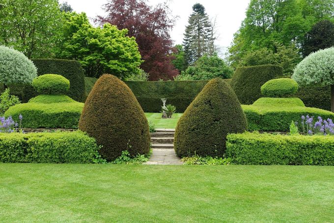 Manicured garden with sculpted shrubs, stone steps, and lush green lawn